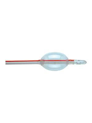 Folysil® Silicone 2 Way Female Catheter 12Fr, 15ml - Each