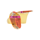 Flavour Creations Thickened Cordial Citrus Level 2 175mL - Ctn/24