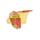 Flavour Creations Thickened Cordial Citrus Level 3 175mL - Ctn/24