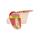 Flavour Creations Thickened Water Watermelon Level 3 175mL - Ctn/24
