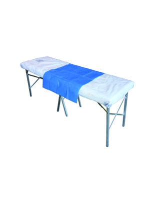HainesĀ® Disposable Modesty Flat Sheet - Ctn/200
