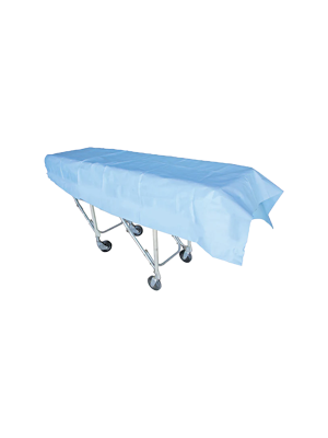HainesĀ® Disposable Heavy Duty Latex Flat Sheet, Light Blue, 220cmx100cm - BOX/100