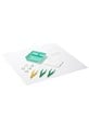 DRESSING PACK #3 SAGE Pack/22