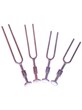 Tuning Forks with Foot C256 Stainless Steel
