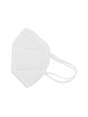 N95 Respirator and Surgical Face Mask Flat Folded Earloop - Box/10