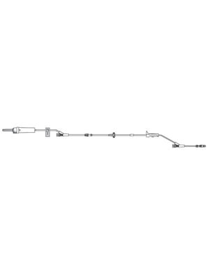 BD Alaris™ Gemini Sets 2110 - Ctn/20