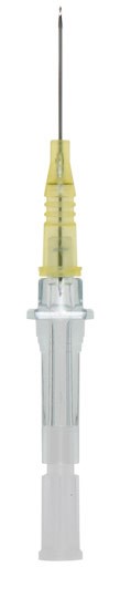 INSYTE CANNULA 24Gx19mm - Box/50