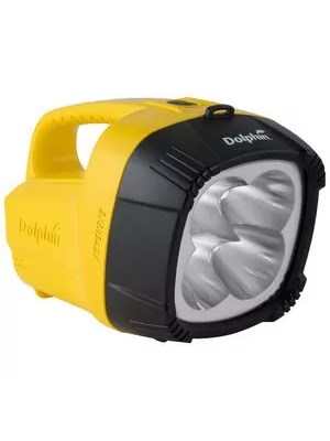 DOLPHIN TORCH
