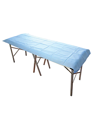 HainesĀ® Flat Sheet Medium Light Blue 200cm x 70cm - Ctn/100