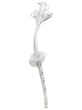 GASTROSTOMY TUBE MIC* 14FR