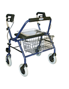 MAXI SEAT WALKER