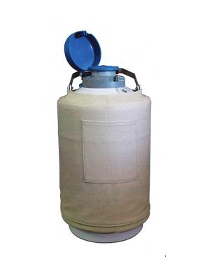 Liquid Nitrogen Storage Container Dewar 10 Litre