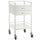 Powder Coated Double Drawer Trolley 50x50x96.7 cm - Each