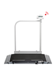 Wheelchair Scale with Handrail Seca 676 EMR-Validated 