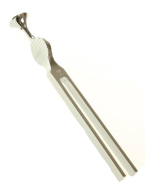 RAGG Tuning Fork C256 Stainless Steel